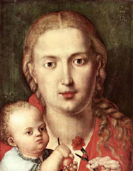 Albrecht Durer The Madonna of the Carnation Sweden oil painting art